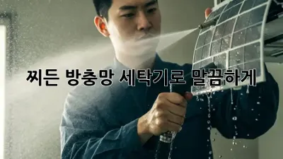 찌든 방충망, 세탁기로 말끔하게! ✨